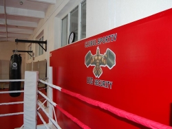 CS Big Security Satu Mare