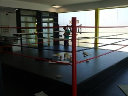  CS Everlast Madrid _28
