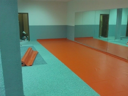 Amega GYM_5