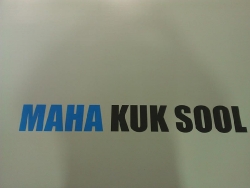 Maha Kuk Sool Madrid_6